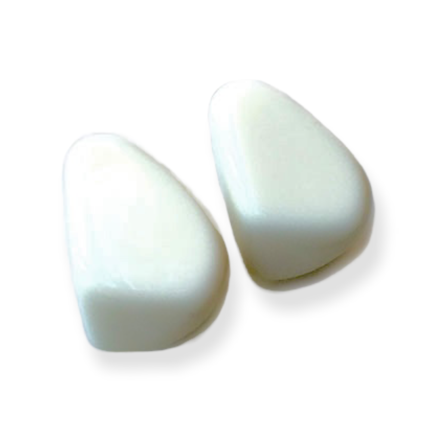 Atelier 1701 - White Resin Stud Earrings
