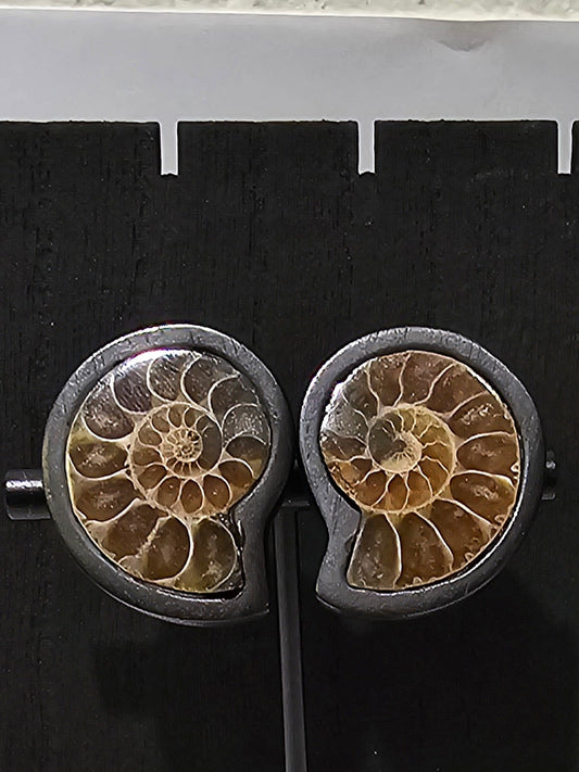 Monies- Ammonite Ear Clips