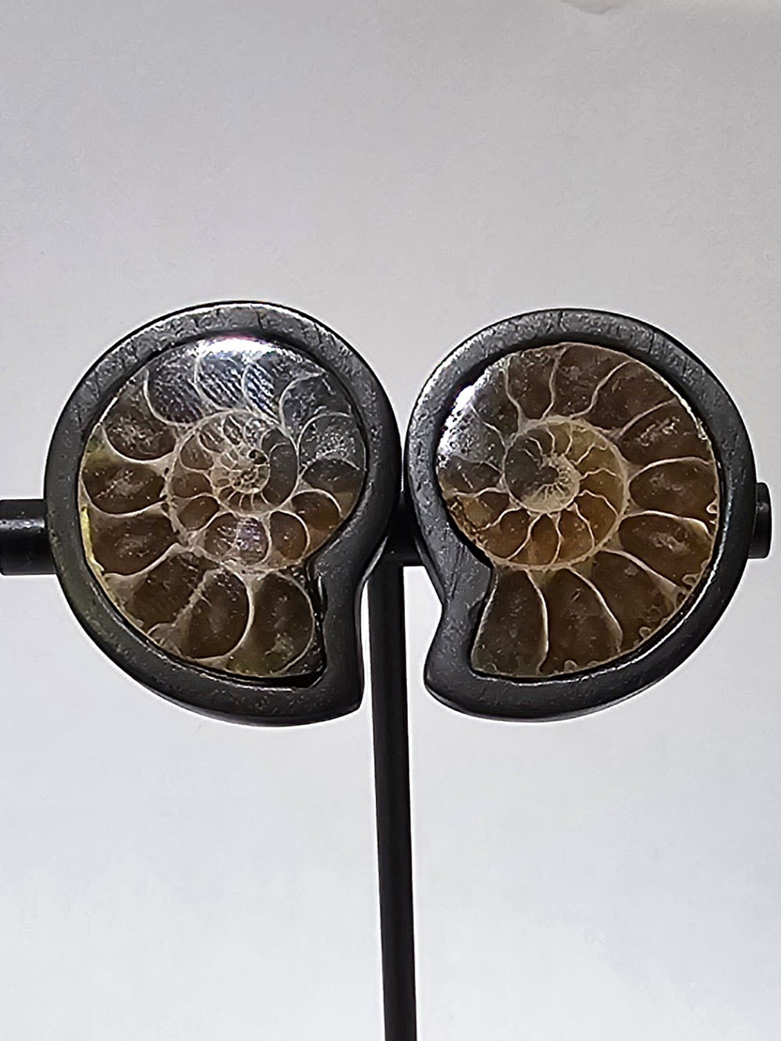 Monies- Ammonite Ear Clips